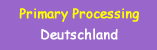 Special Thanks for help in primary processing of this text!