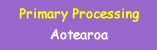 Special Thanks for help in primary processing of this text!